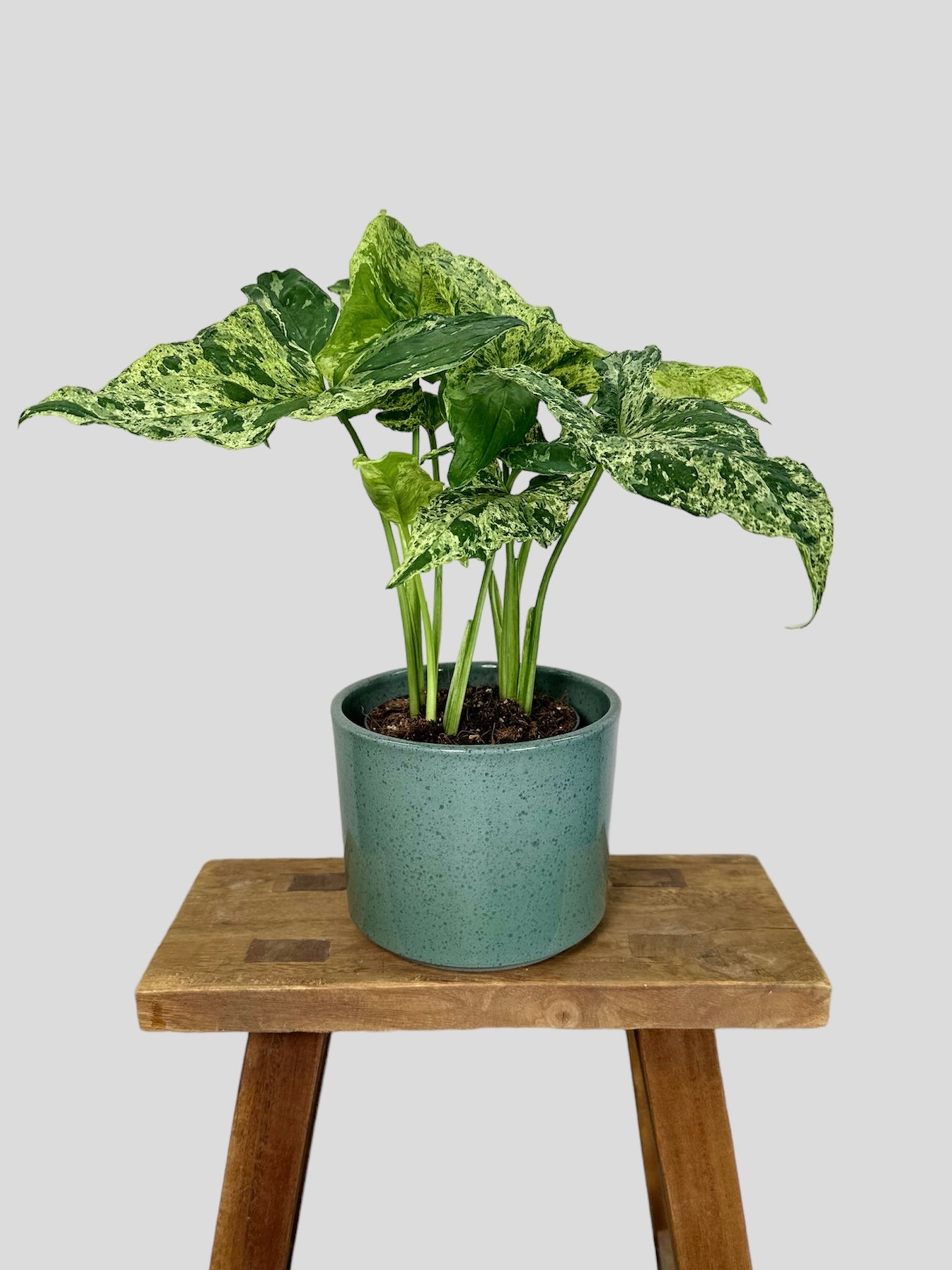 Cache-pot ''Glasure'' Ø13 cm