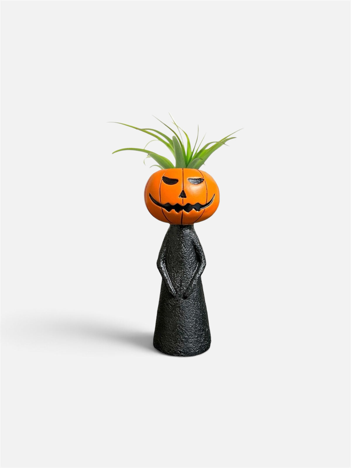 Tillandsia Halloween Mystery Kids