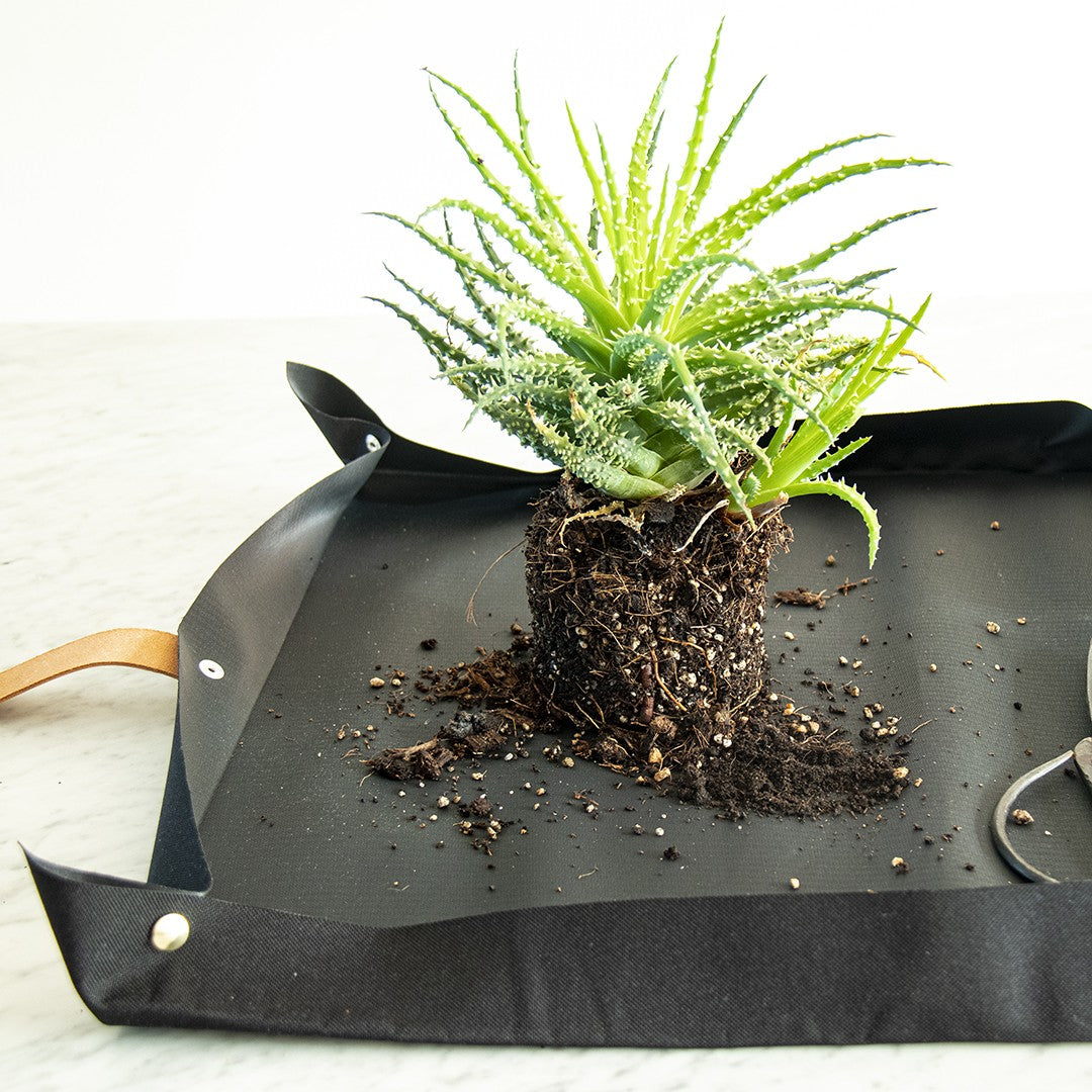 Tapis de rempotage
