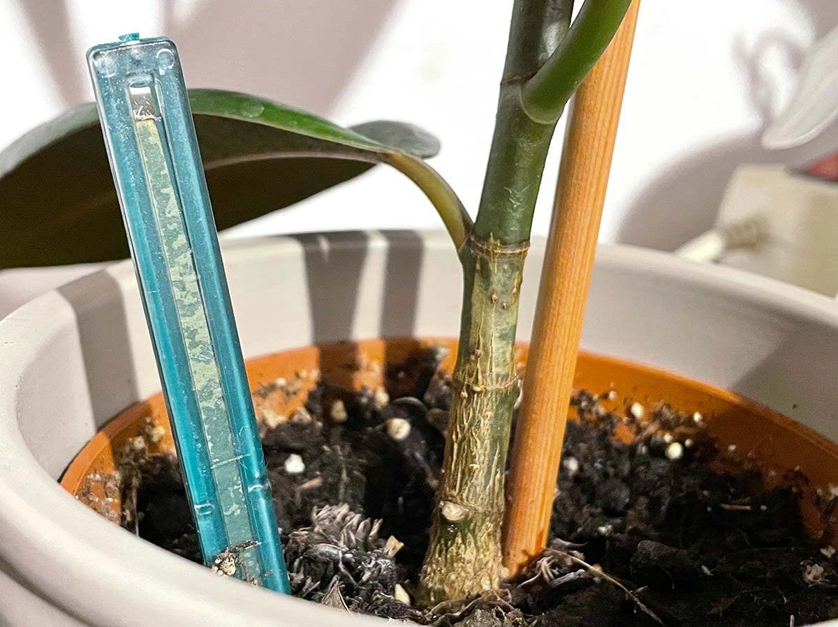 Humidimètre pour plantes - Testeur d'humidité 3pces