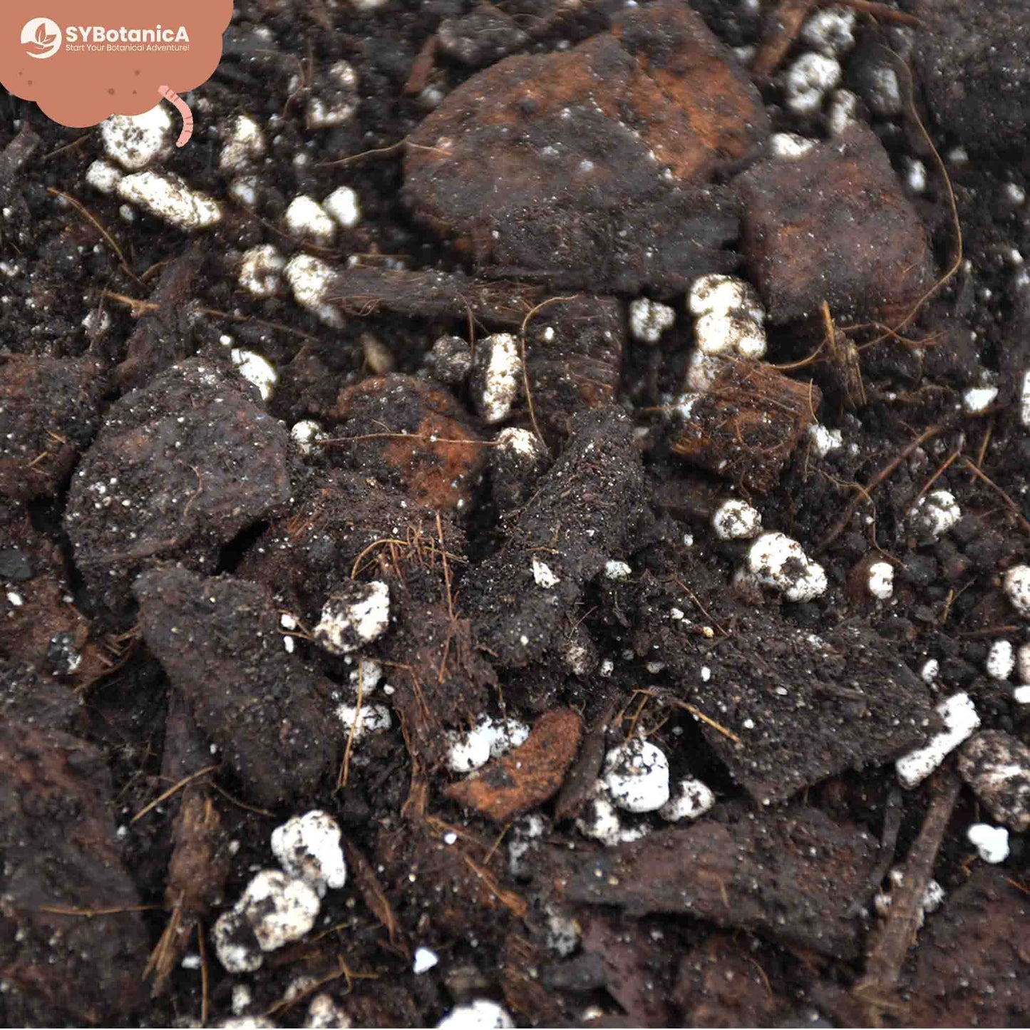 Premium Anthurium Mix 5L