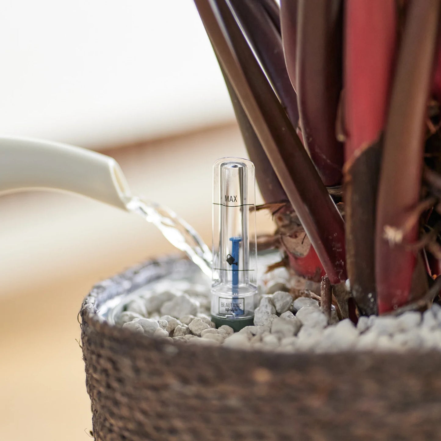 Atelier - Initiation à l’hydroculture – Substrat minéral