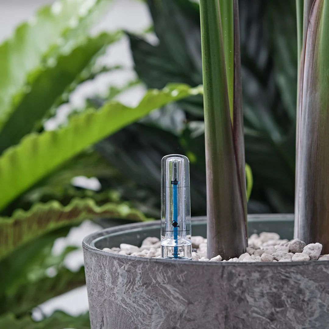 Atelier - Initiation à l’hydroculture – Substrat minéral