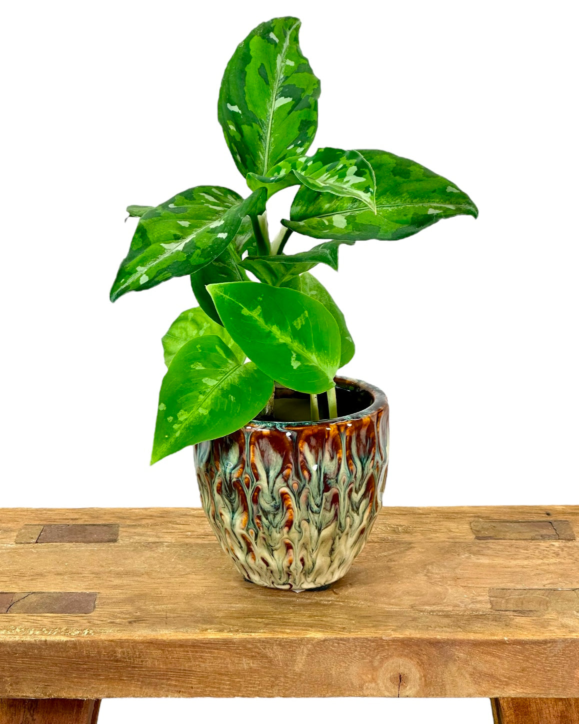 Cache-pot ''Caramel'' Ø6.5 cm