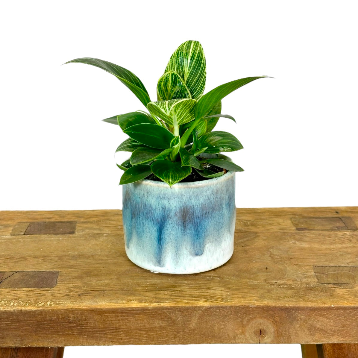 Cache-pot 'Sky' Ø6 cm