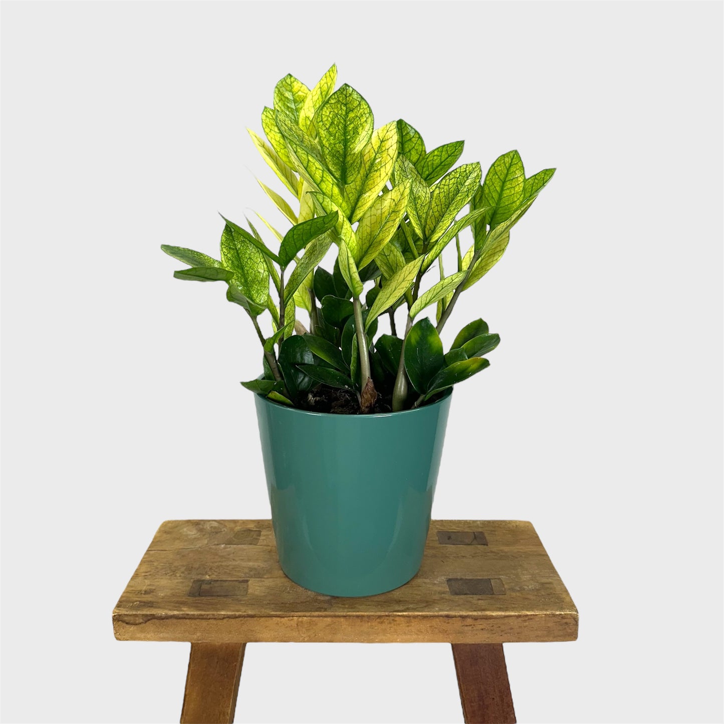 Cache-pot ''Classic'' vert Ø14.5 cm