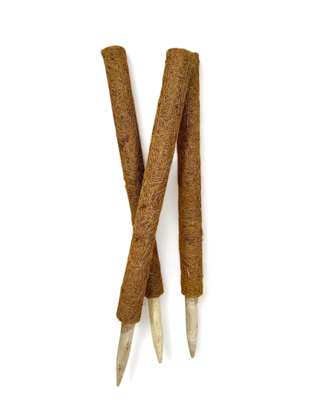 Tuteur en coco 60 cm