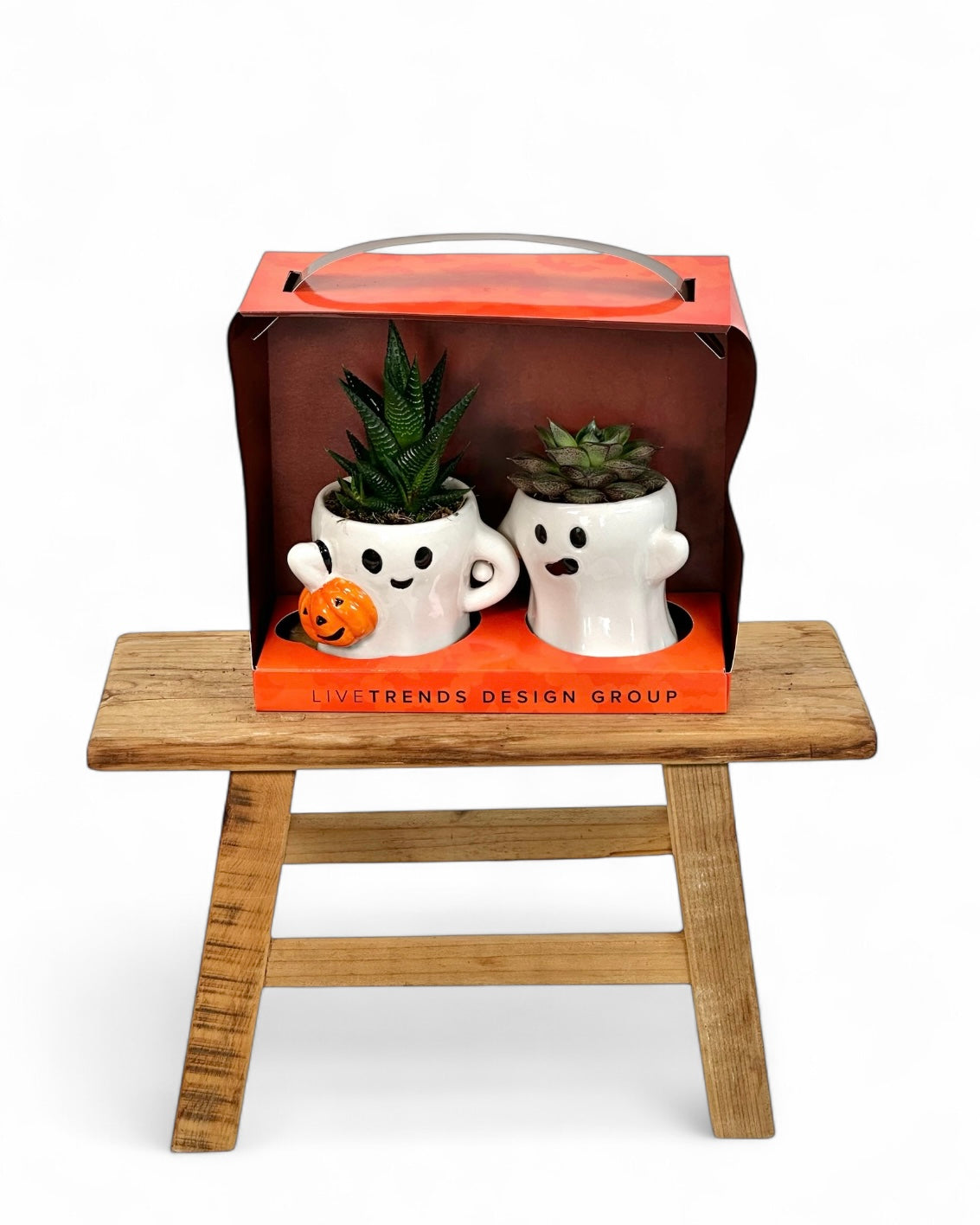 Couple de fantômes avec succulentes