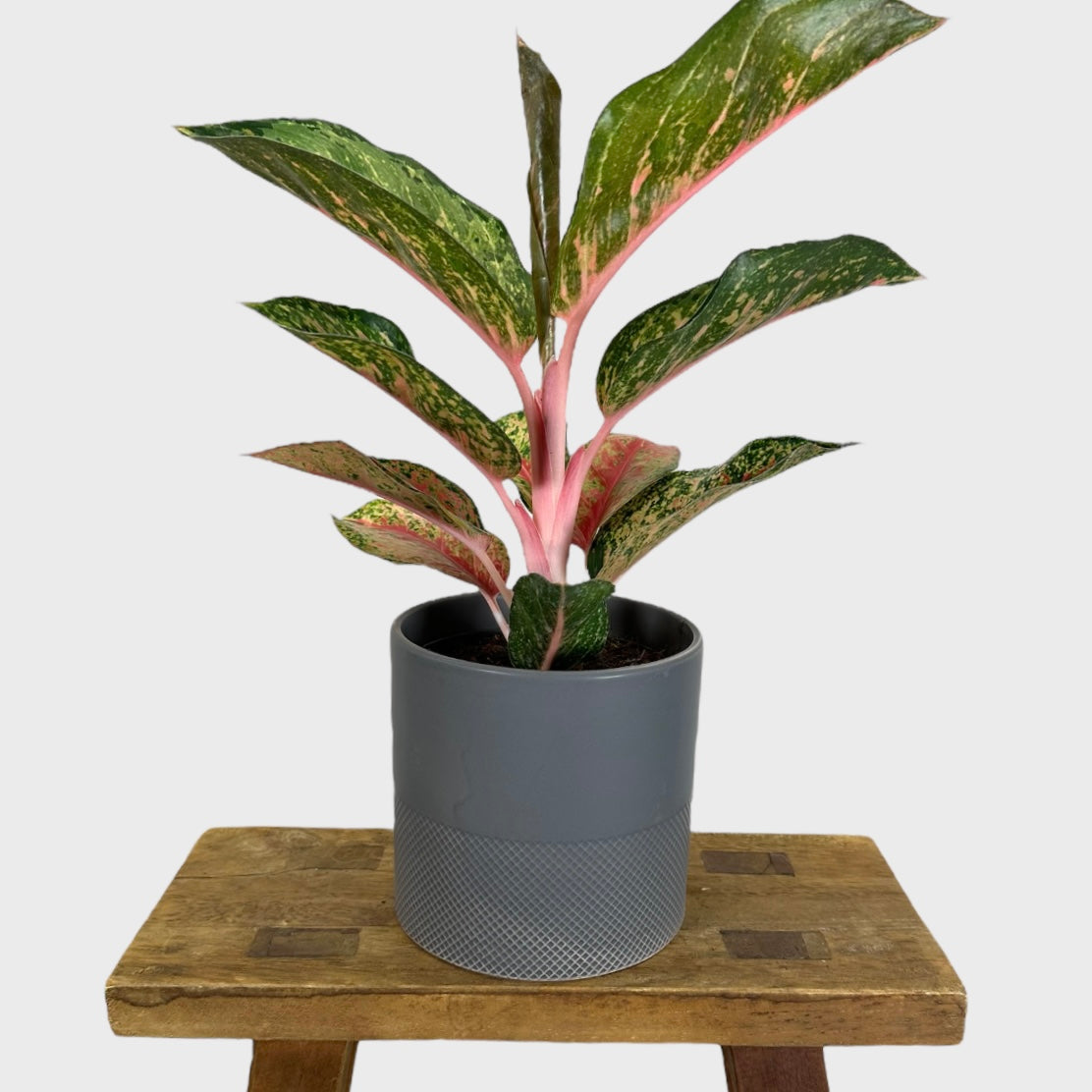 Cache-pot ''Living'' Gris Ø12 cm