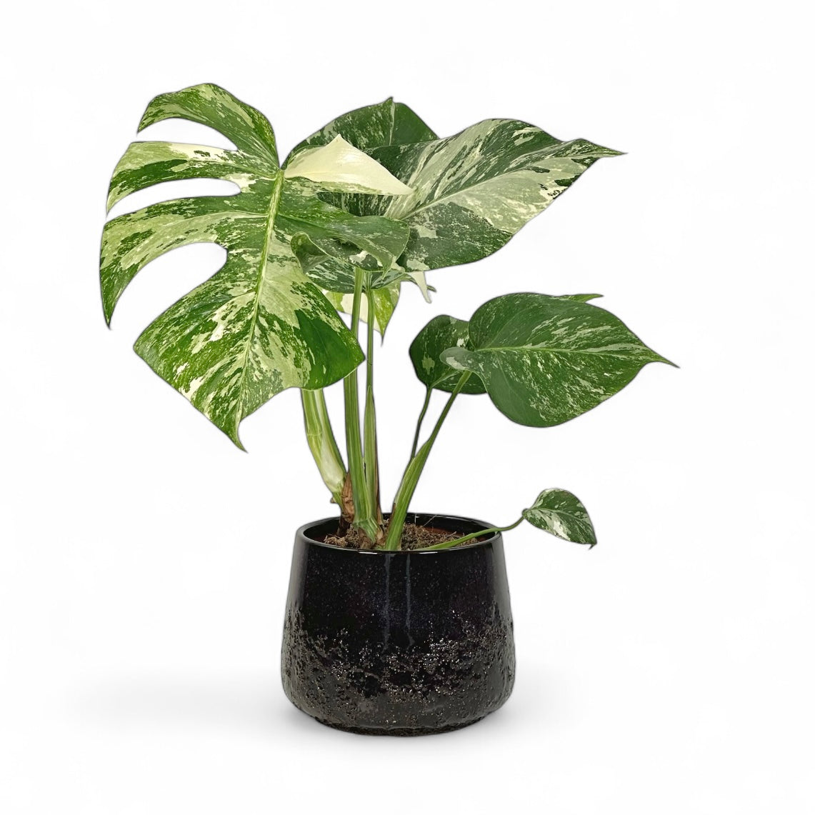 Cache-pot 'Mylo Blue' Ø12.5 cm