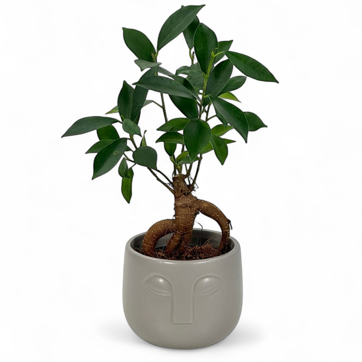 Cache-pot 'Visage' gris Ø8.5 cm