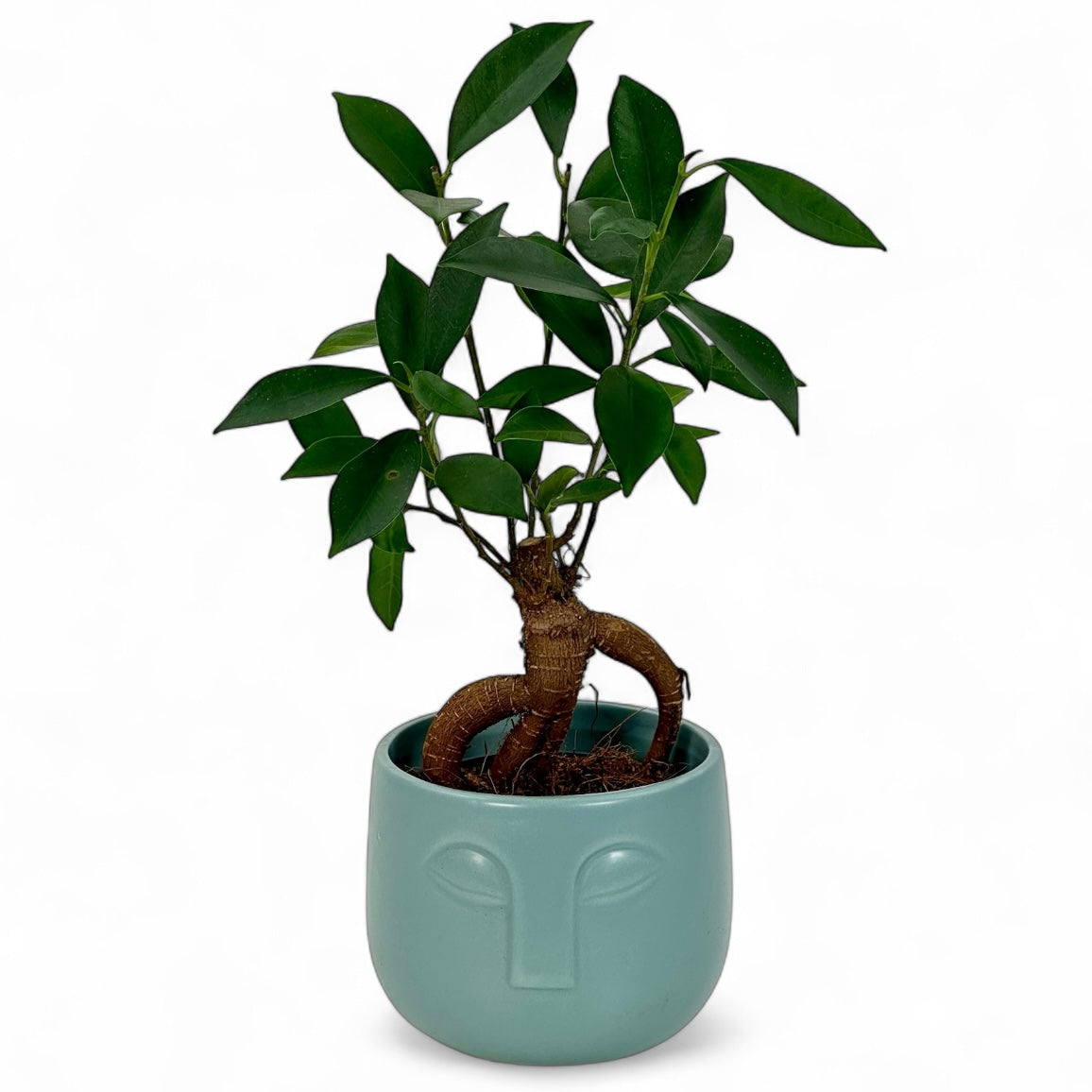Cache-pot 'Visage' bleu Ø8.5 cm