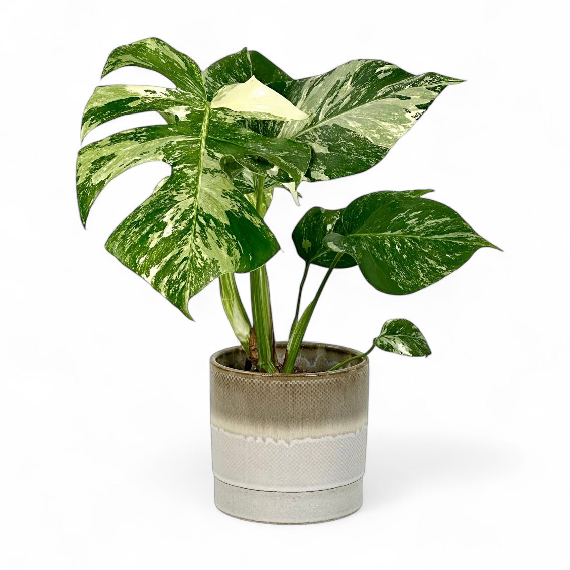 Cache-pot 'Olof' blanc Ø13 cm