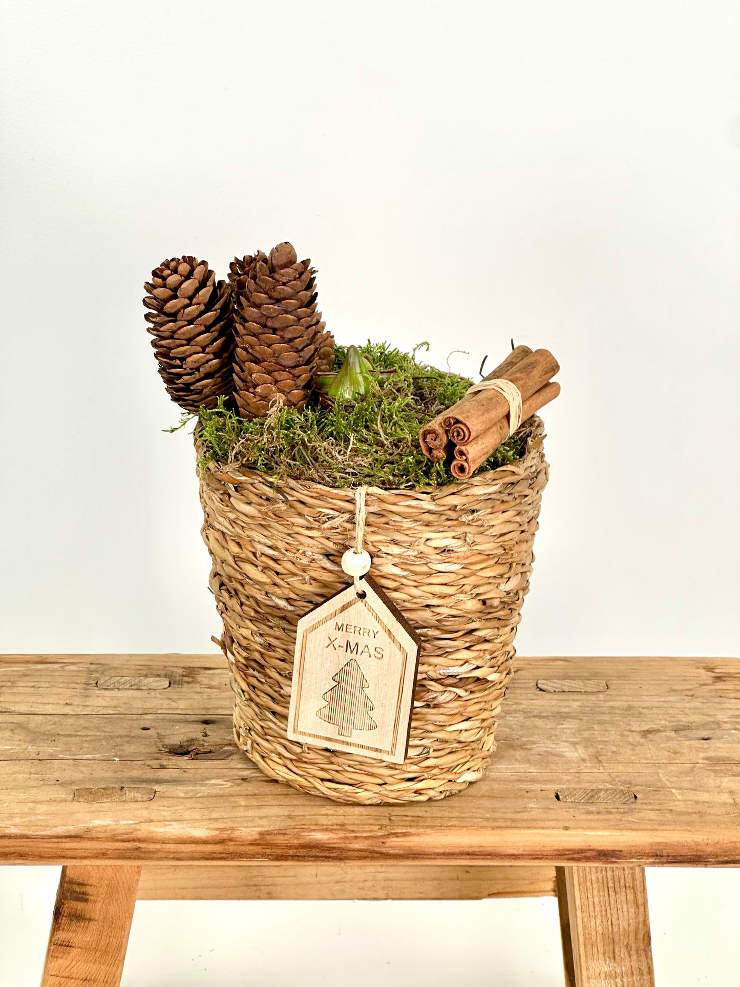 Composition Amaryllis Rouge