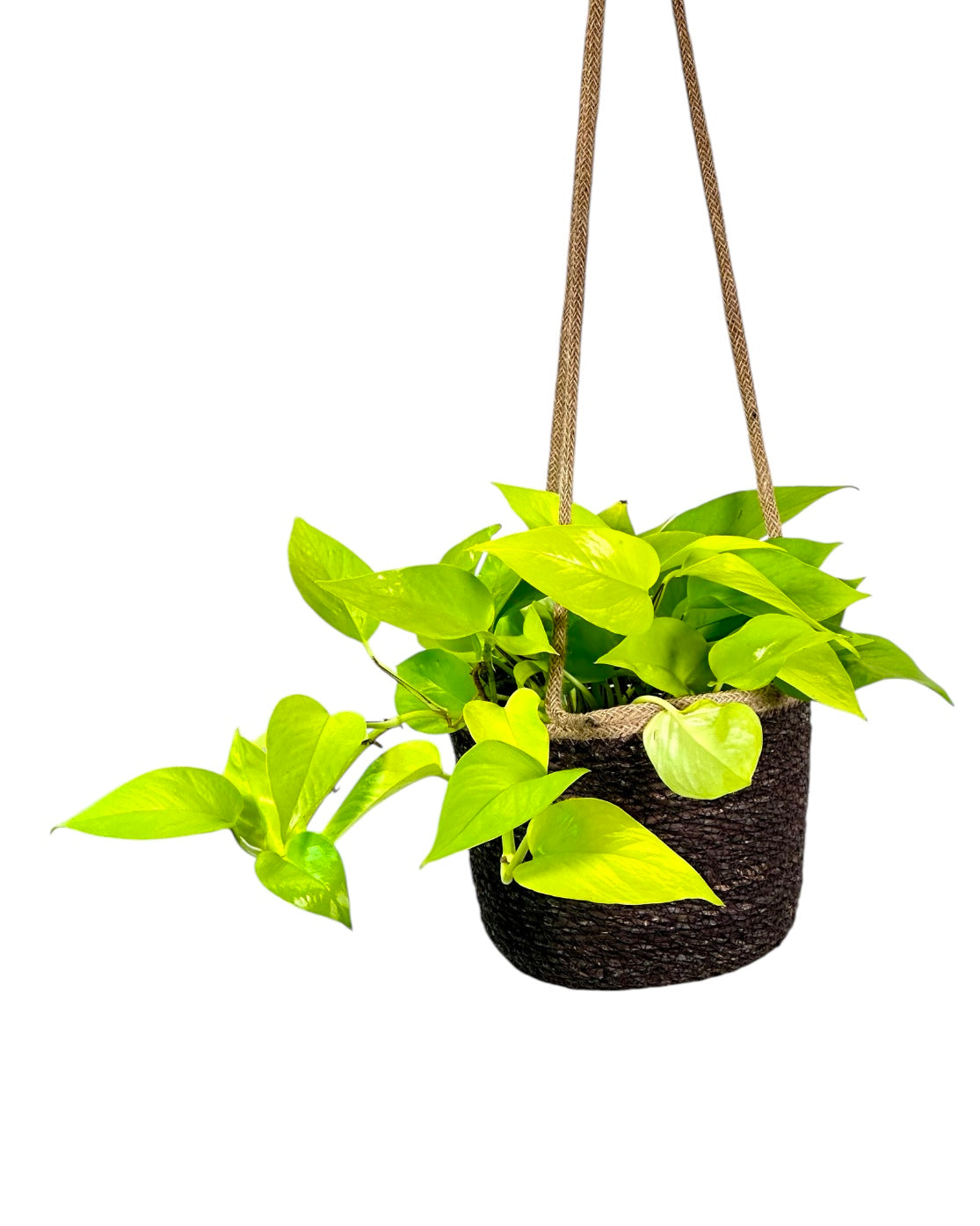 Cache-pot suspendu Panier 'noir' Ø18 cm