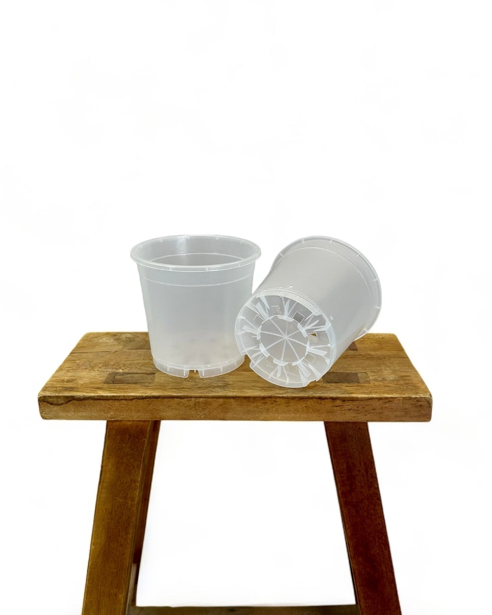 Pot plastique transparent 6cm - 21cm