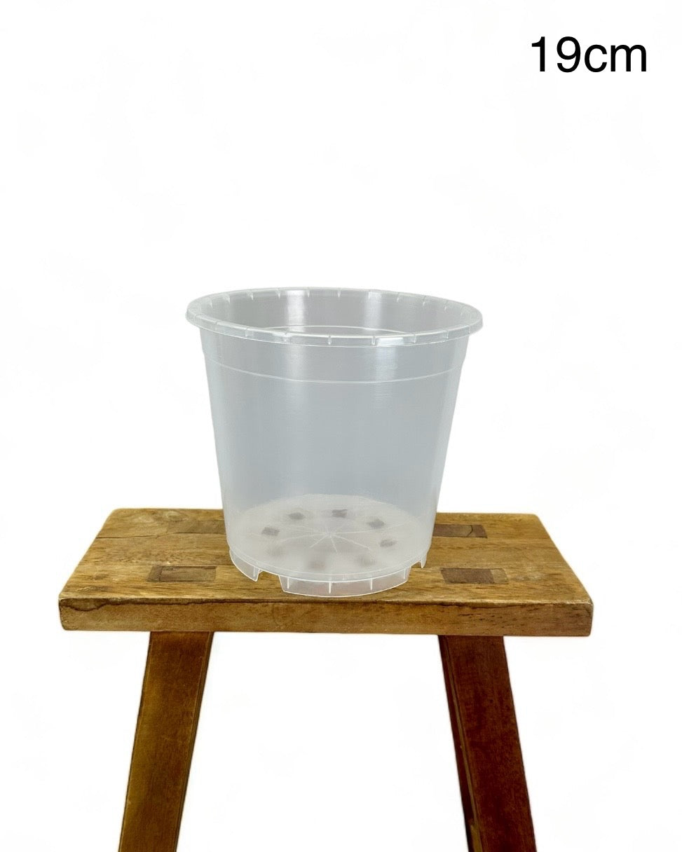 Pot plastique transparent 6cm - 21cm