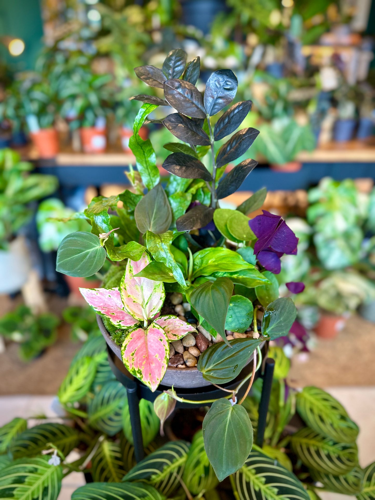 Atelier - Créer son arrangement de plantes