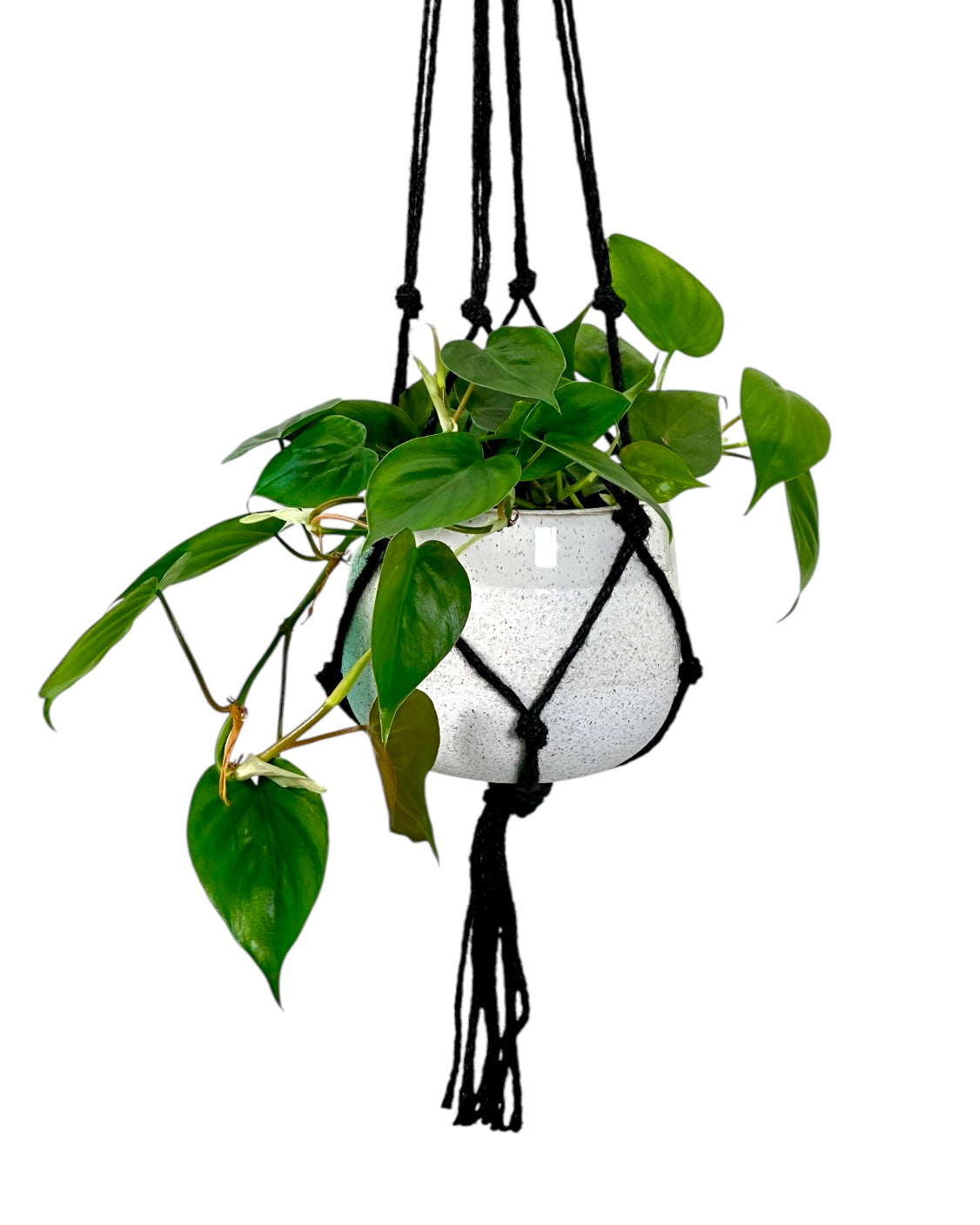 Macramé en jute noir – Pour pots Ø9 à Ø17 cm – Longueur 80 cm