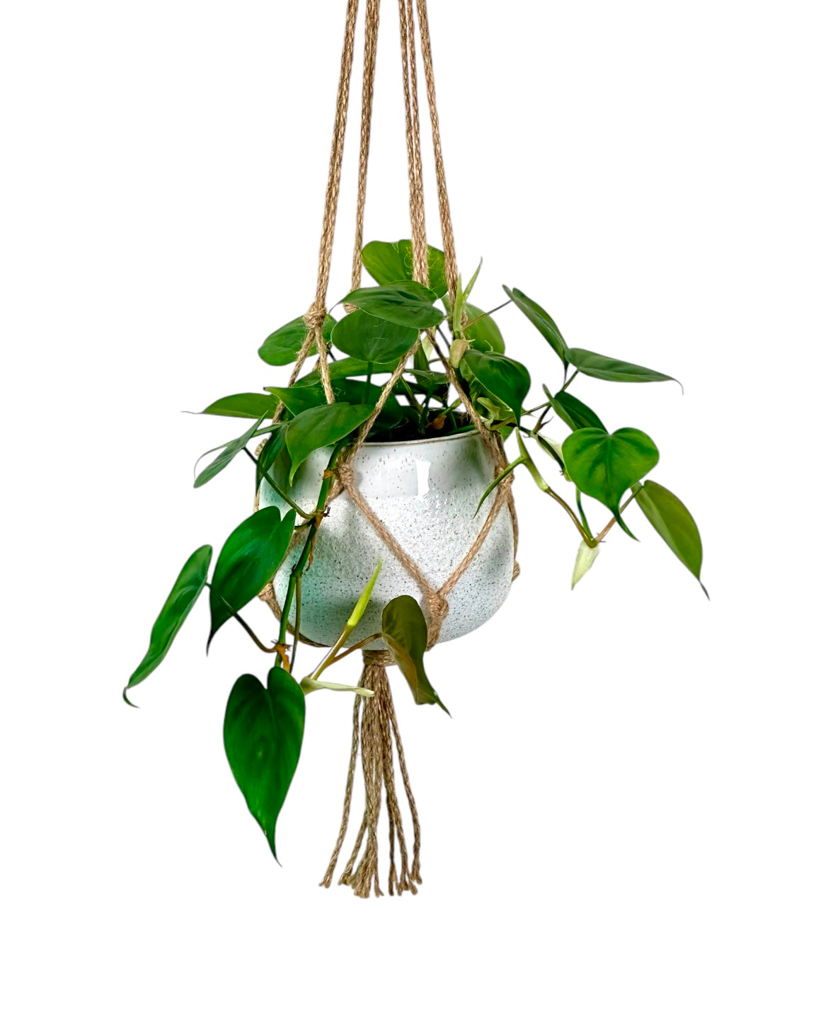 Macramé en jute – Pour pots Ø9 à Ø17 cm – Longueur 80 cm
