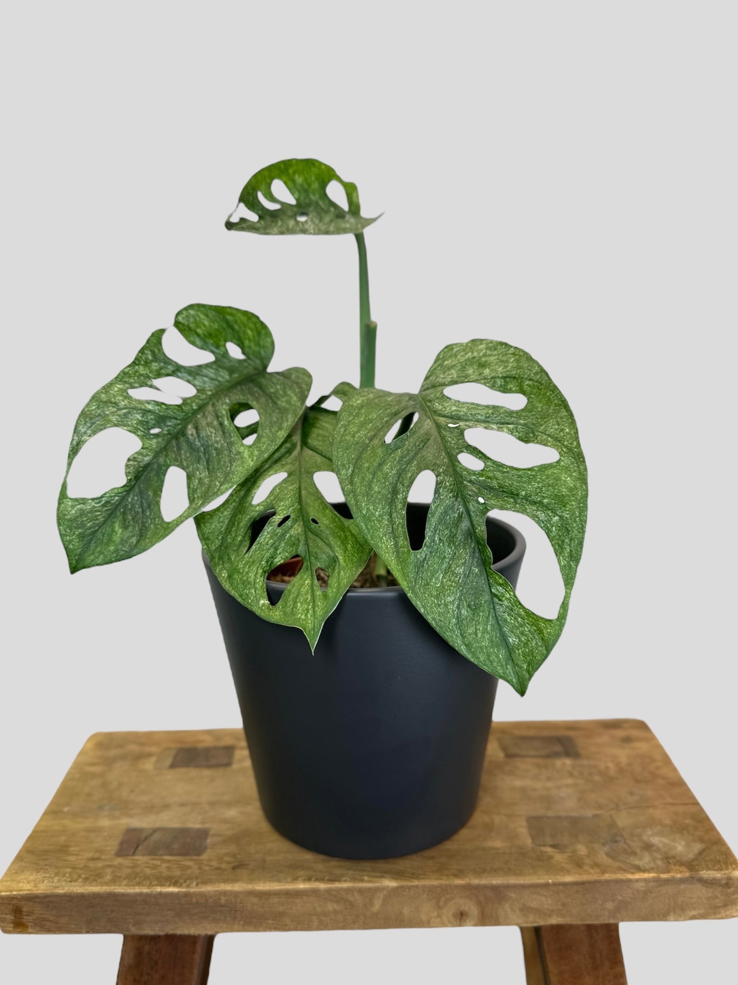 Cache-pot ''Classic'' noir Ø14 cm