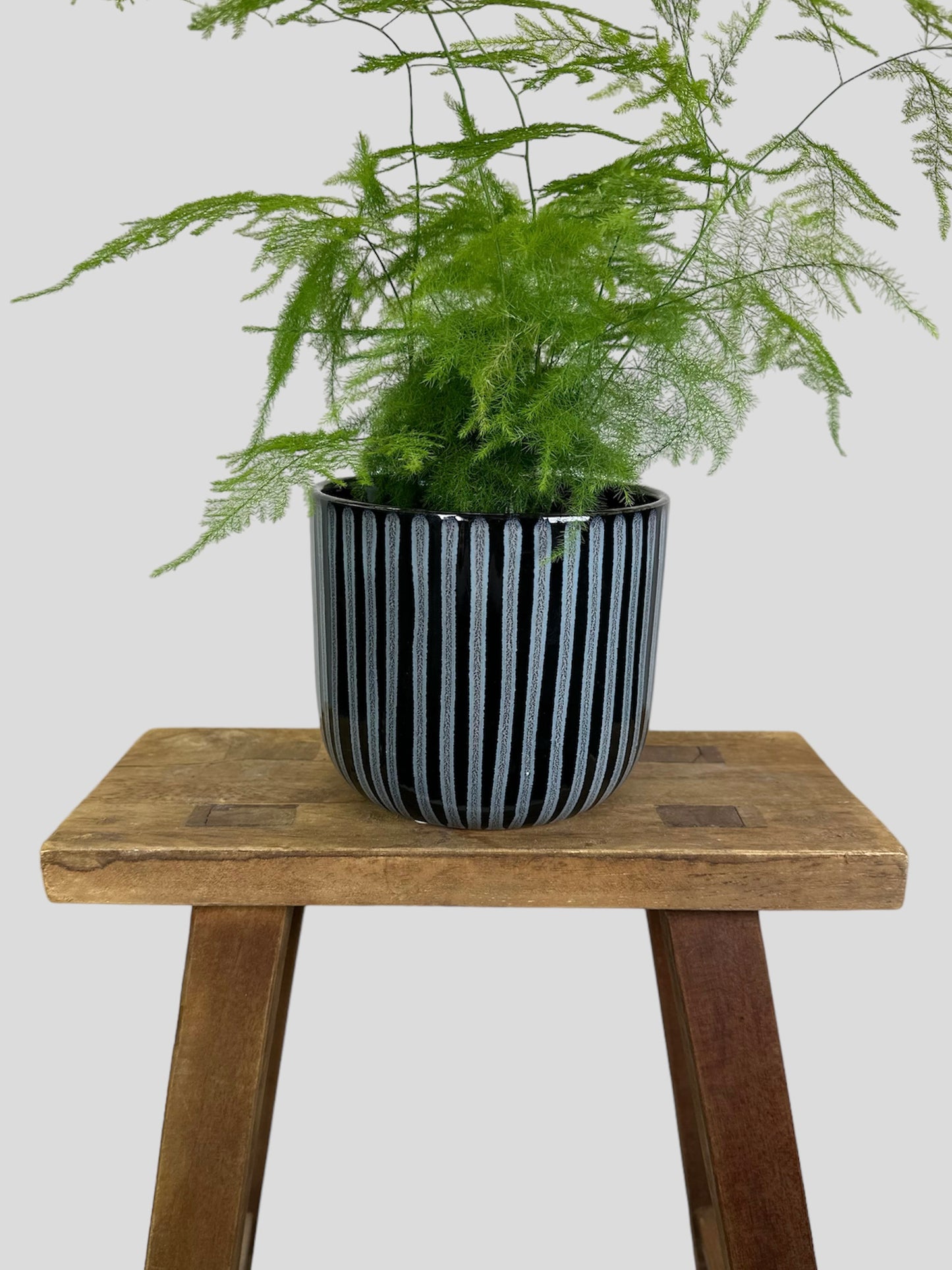 Cache-pot ''Zebra'' Ø14 cm
