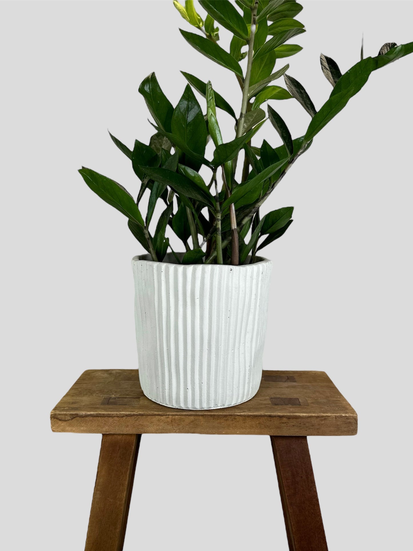 Cache-pot ''Salto'' Ø15 cm