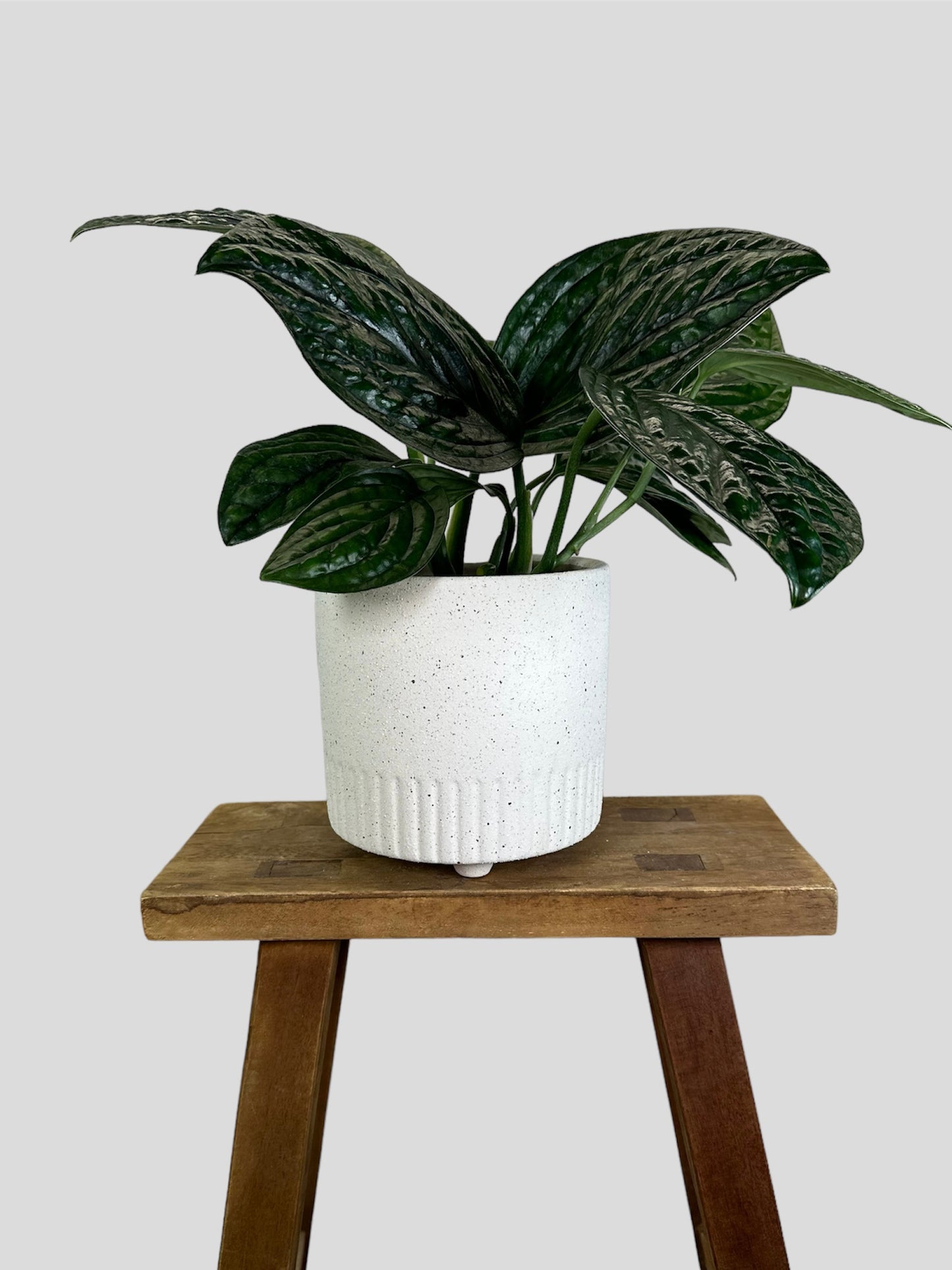 Cache-pot ''Granita'' blanc Ø13 cm