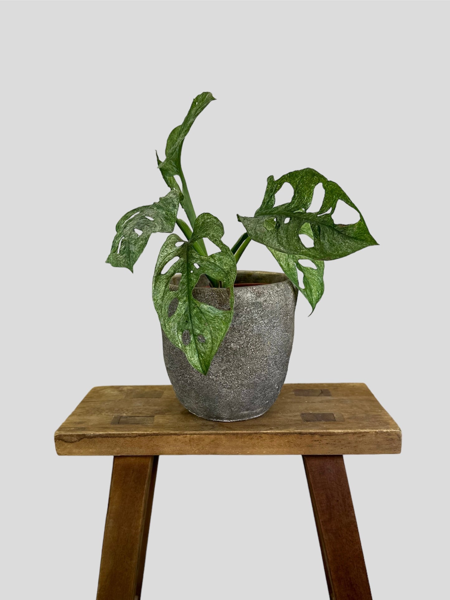 Cache-pot ''Vintage'' Ø12 cm