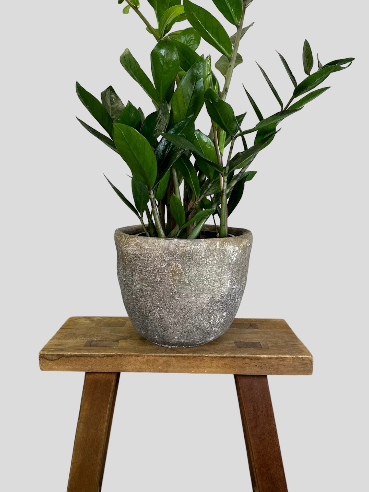 Cache-pot ''Vintage'' Ø15 cm