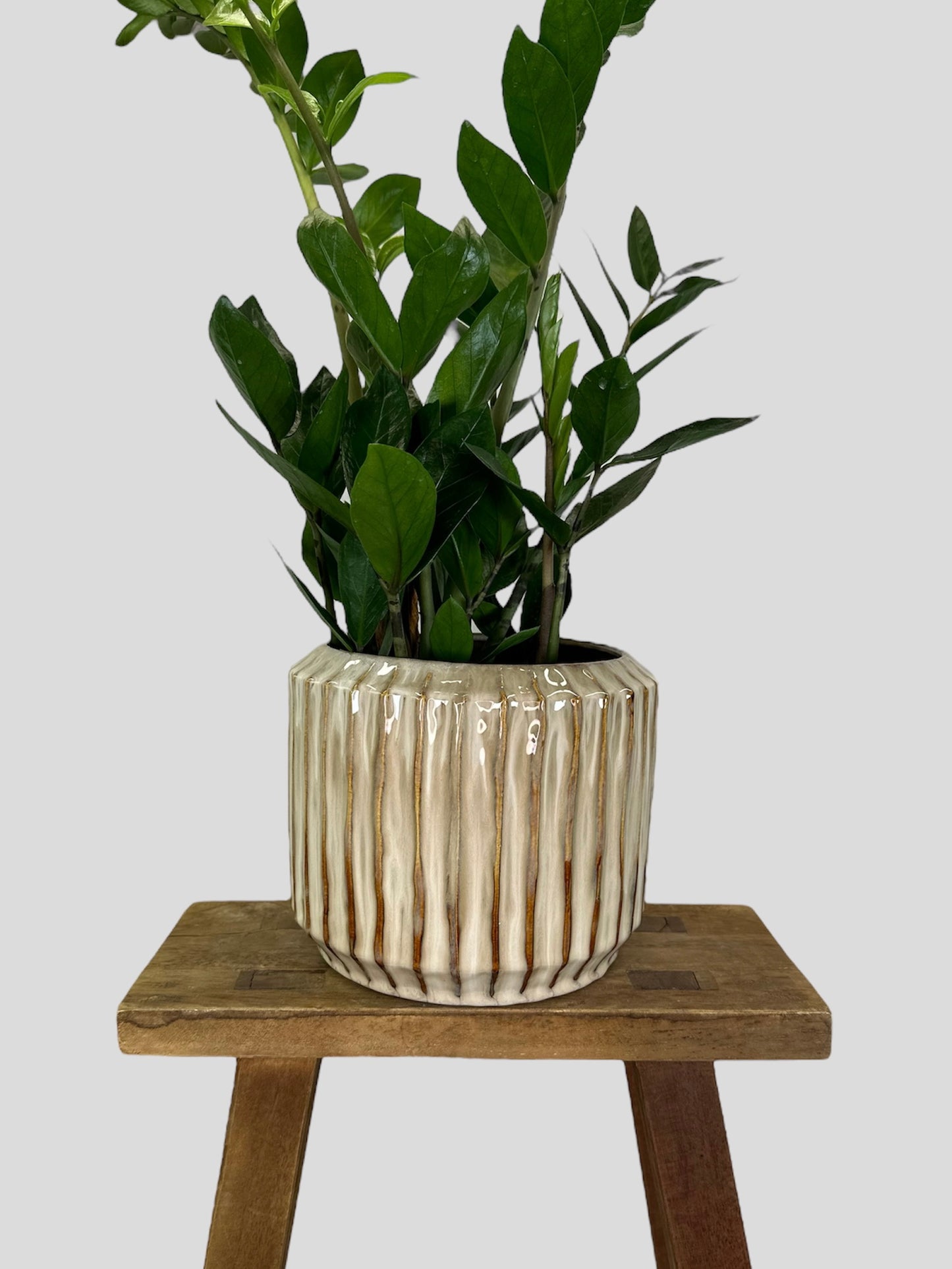 Cache-pot ''Venise'' beige Ø15 cm