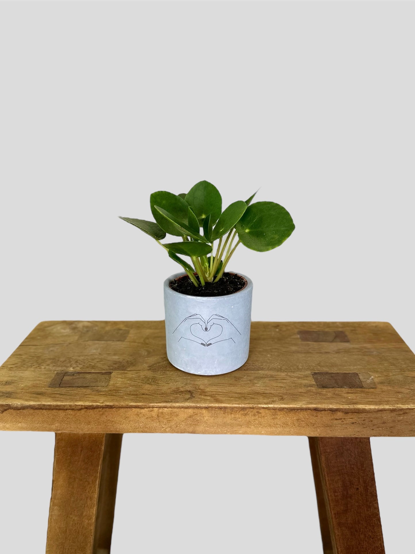 Cache-pot ''Heart'' Ø6 cm