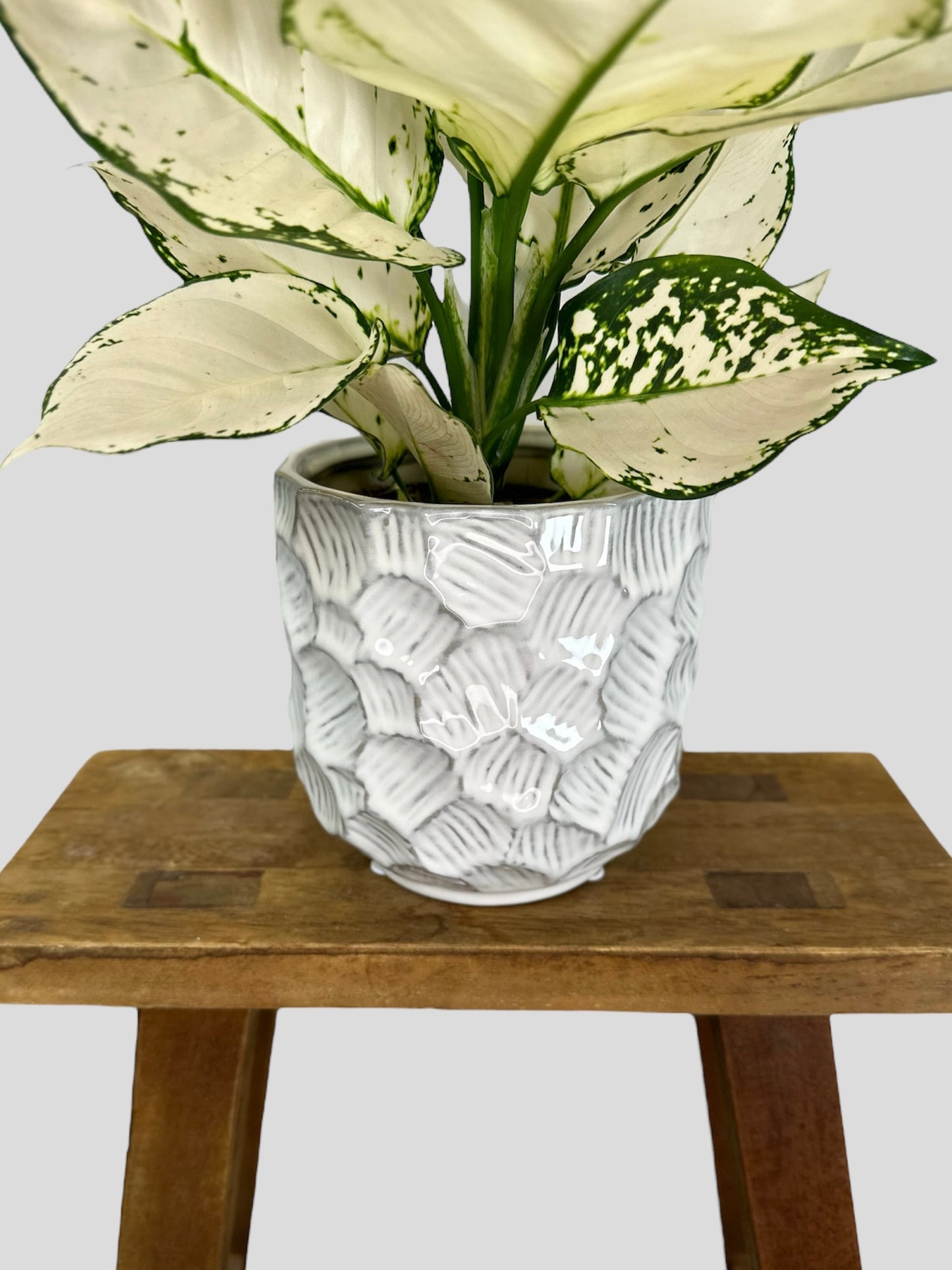 Cache-pot ''bohème'' blanc Ø12 cm
