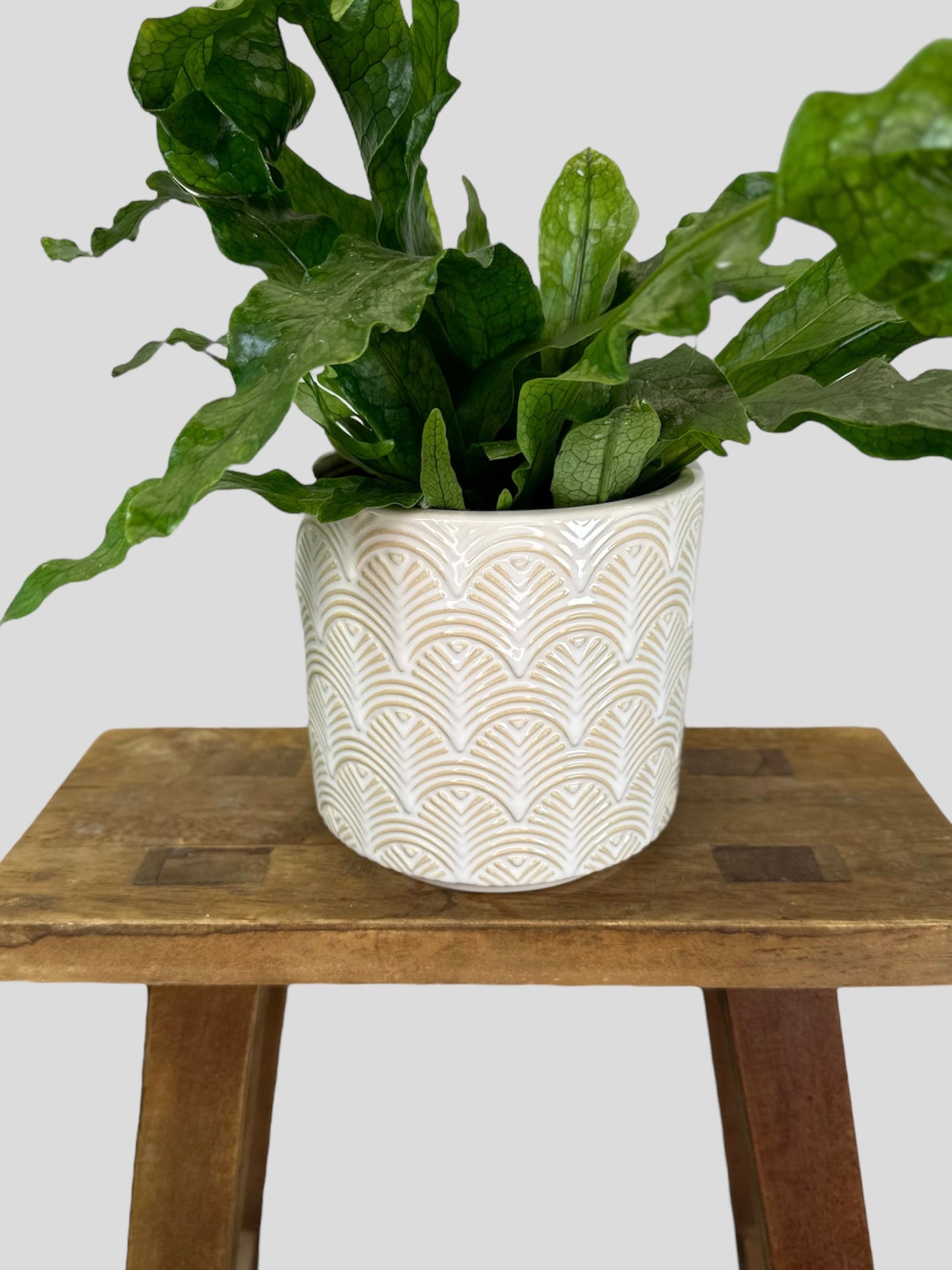 Cache-pot ''Neela'' blanc Ø11 cm