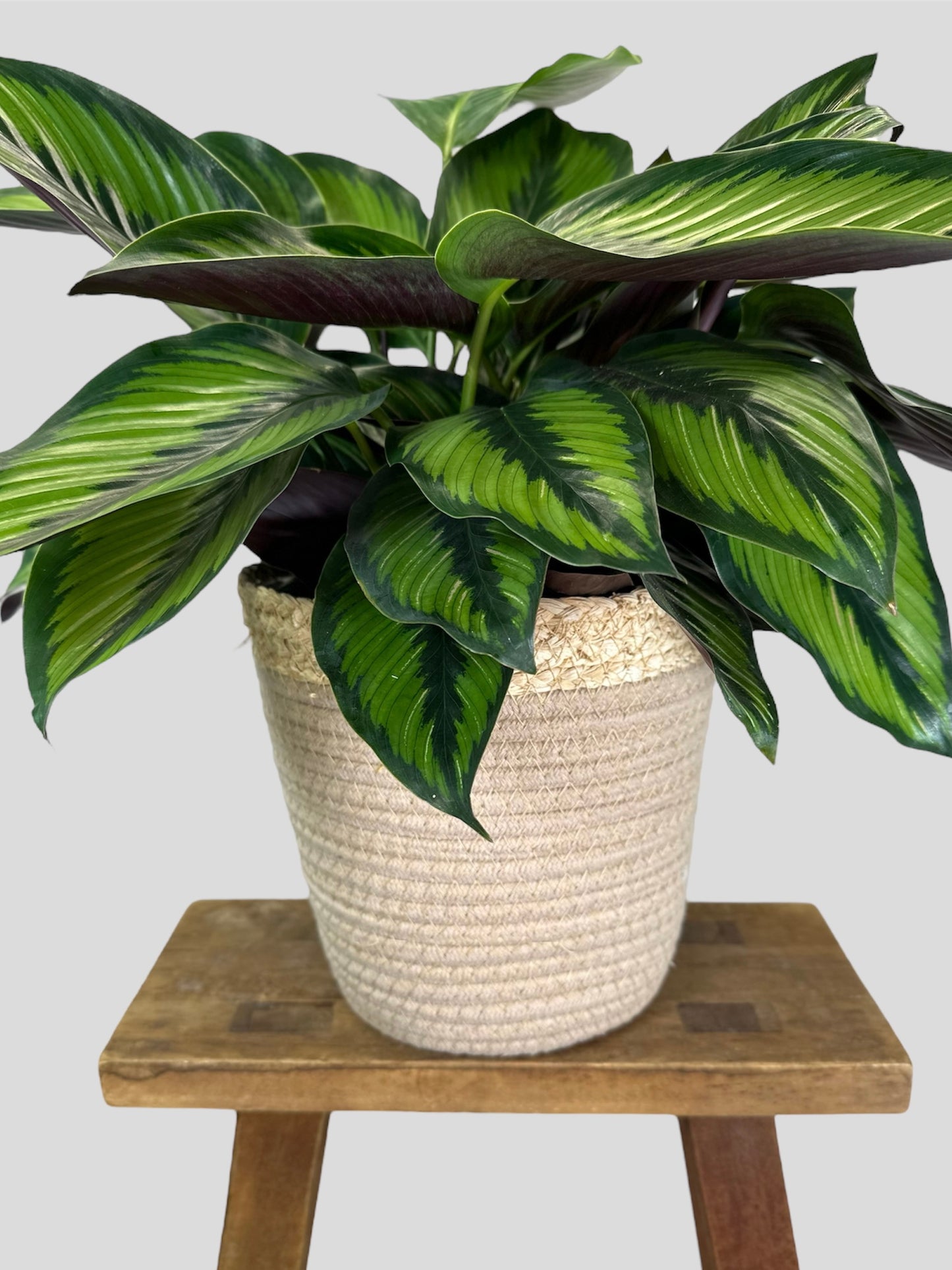 Cache-pot Panier beige Ø19 cm