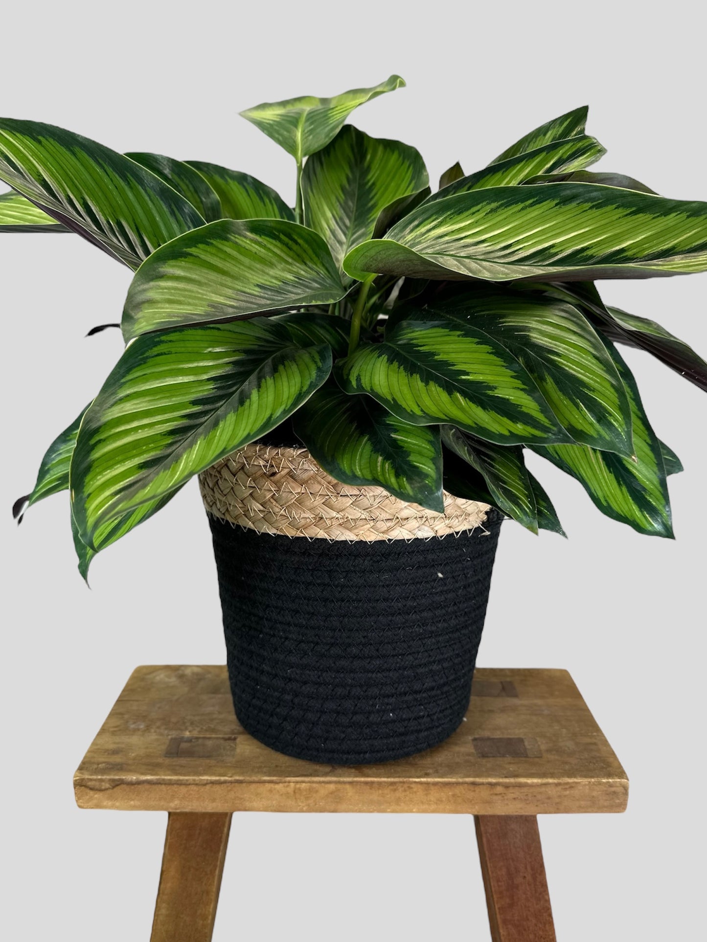 Cache-pot Panier noir Ø19 cm