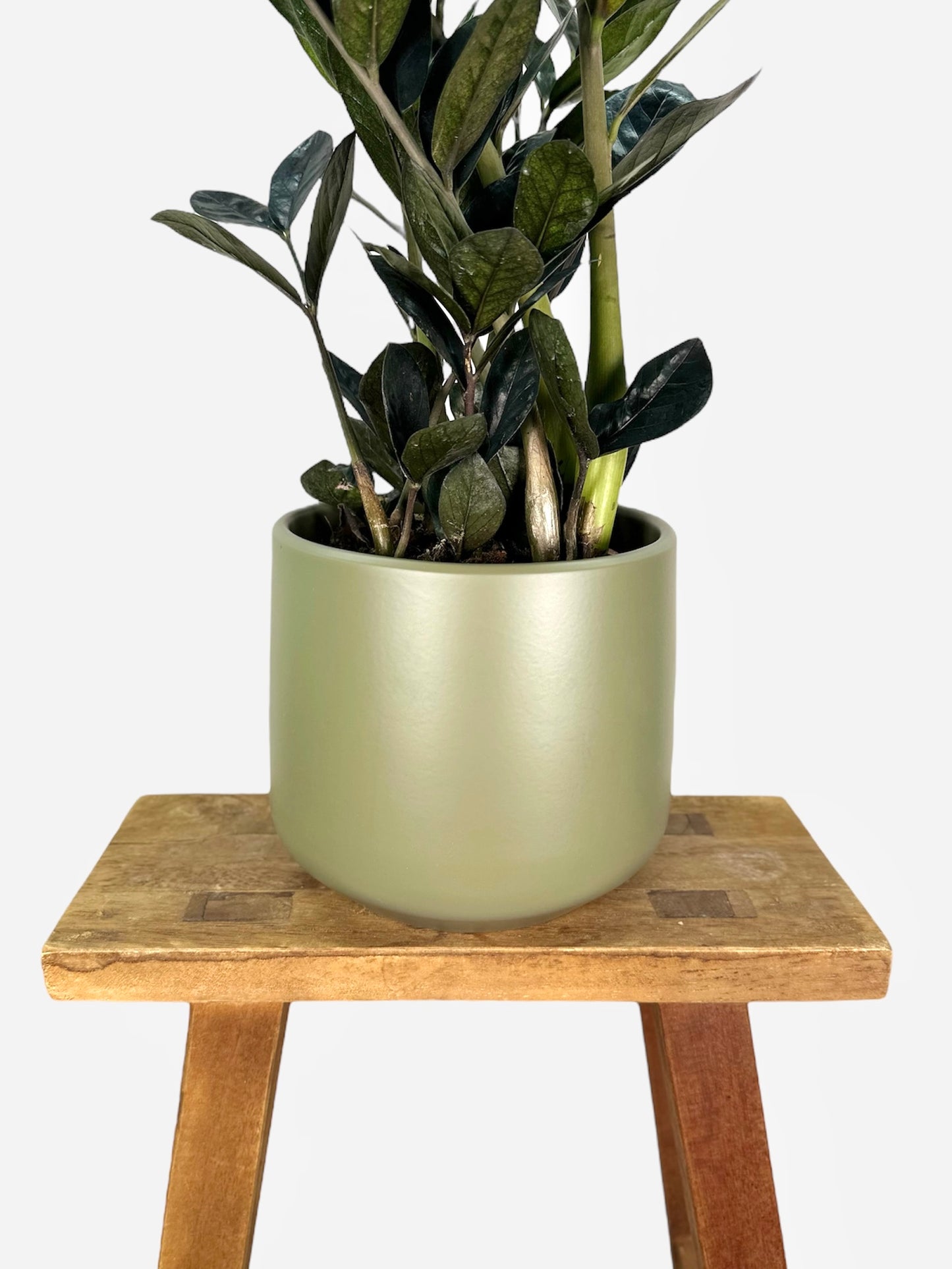 Cache-pot ''Olive'' Ø15 cm