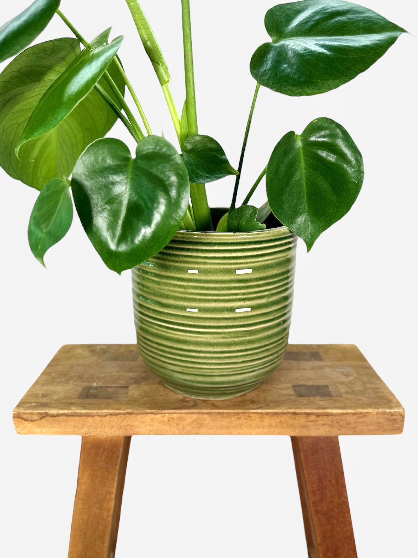 Cache-pot ''Pickle'' Ø14 cm