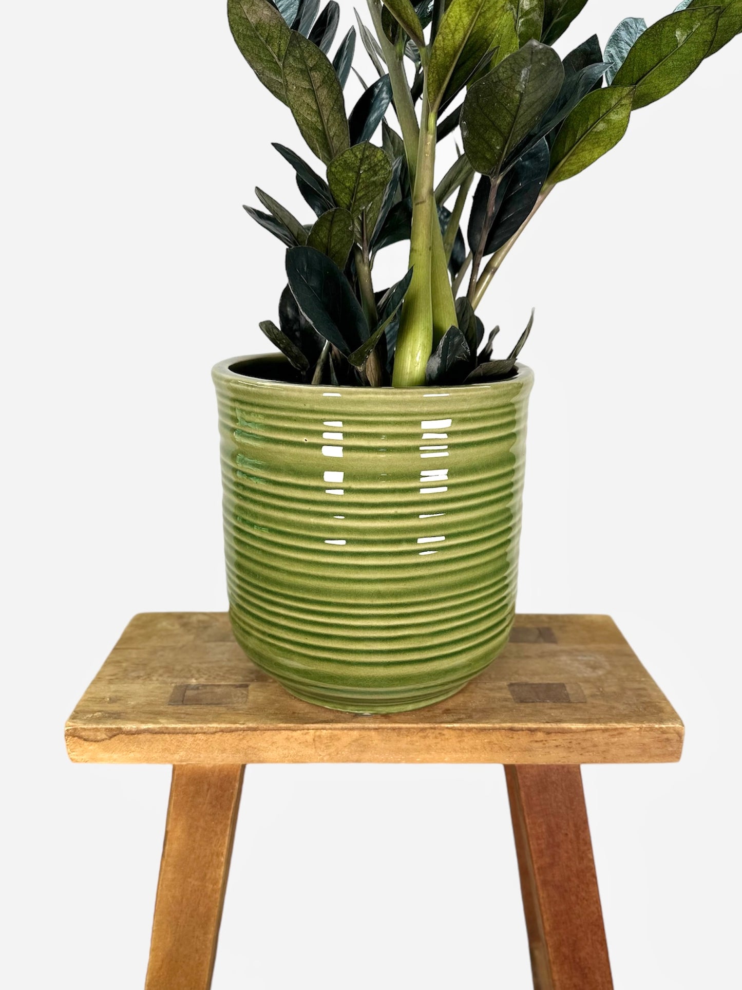 Cache-pot ''Pickle'' Ø15.5 cm
