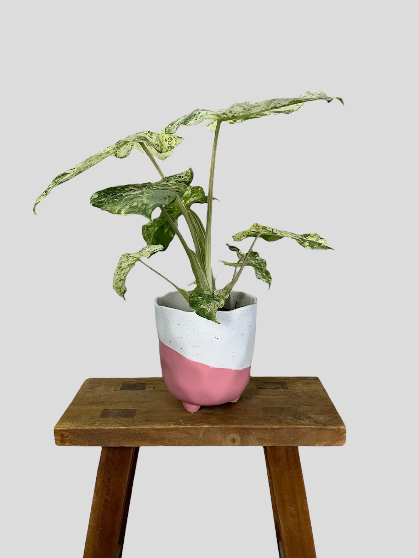 Cache-pot ''Gabby'' Rose Ø12 cm
