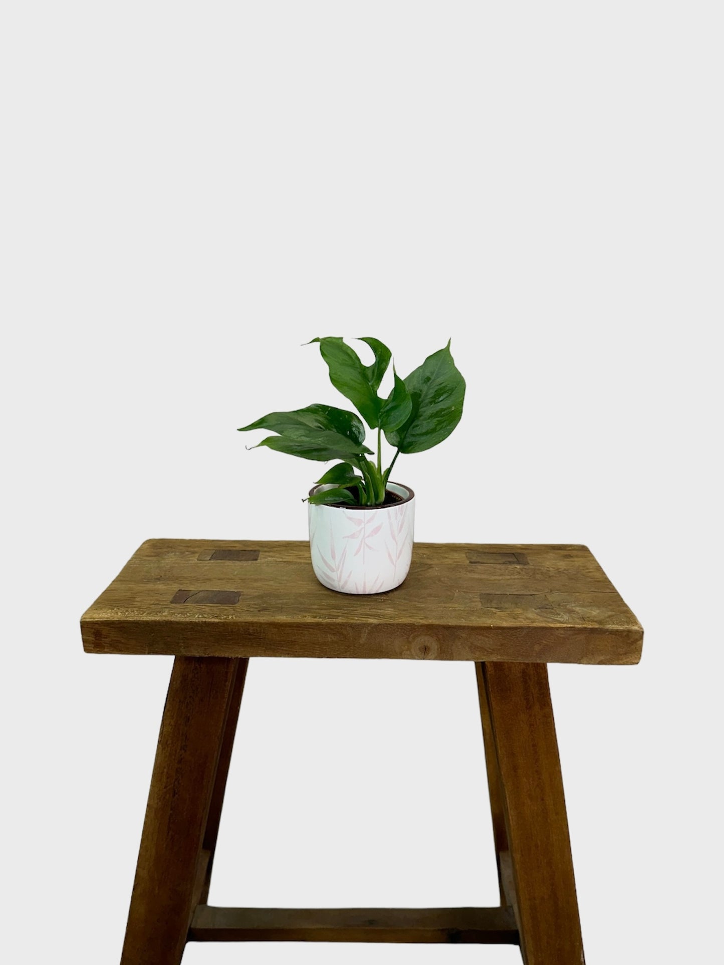 Cache-pot ''Pink Leaf'' Ø6 cm