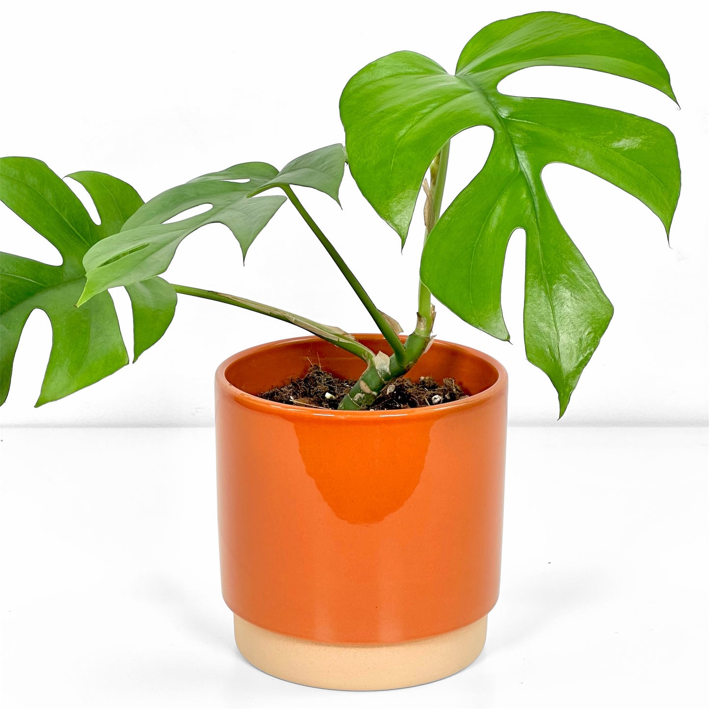 Cache-pot 'Eno' Orange Ø12 cm