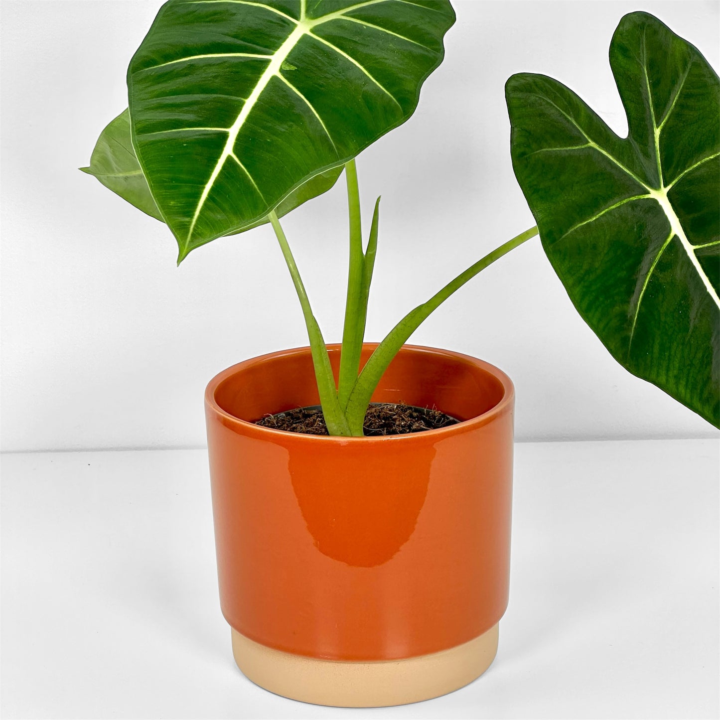 Cache-pot 'Eno' Orange Ø15 cm
