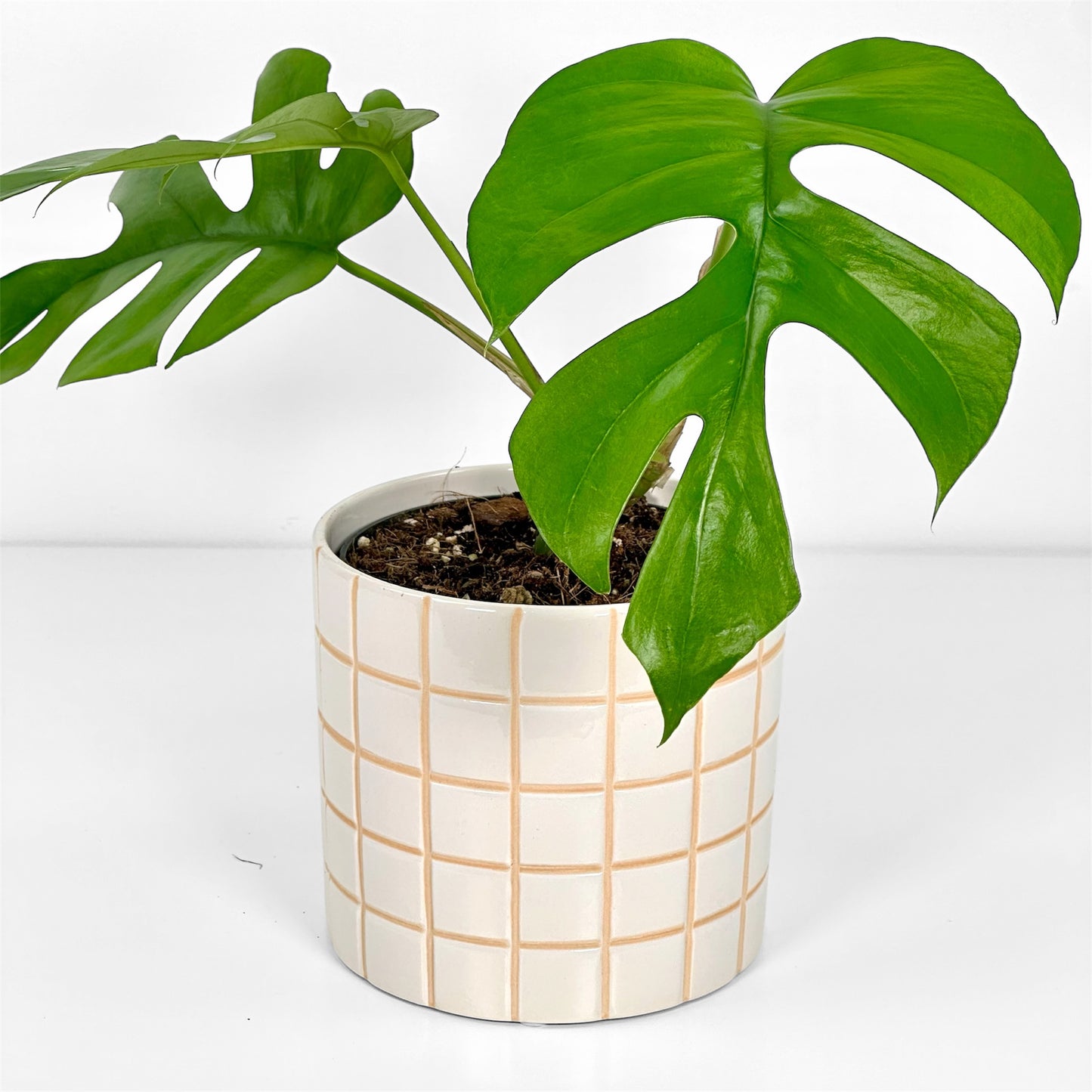 Cache-pot 'Tirza' Ø12 cm