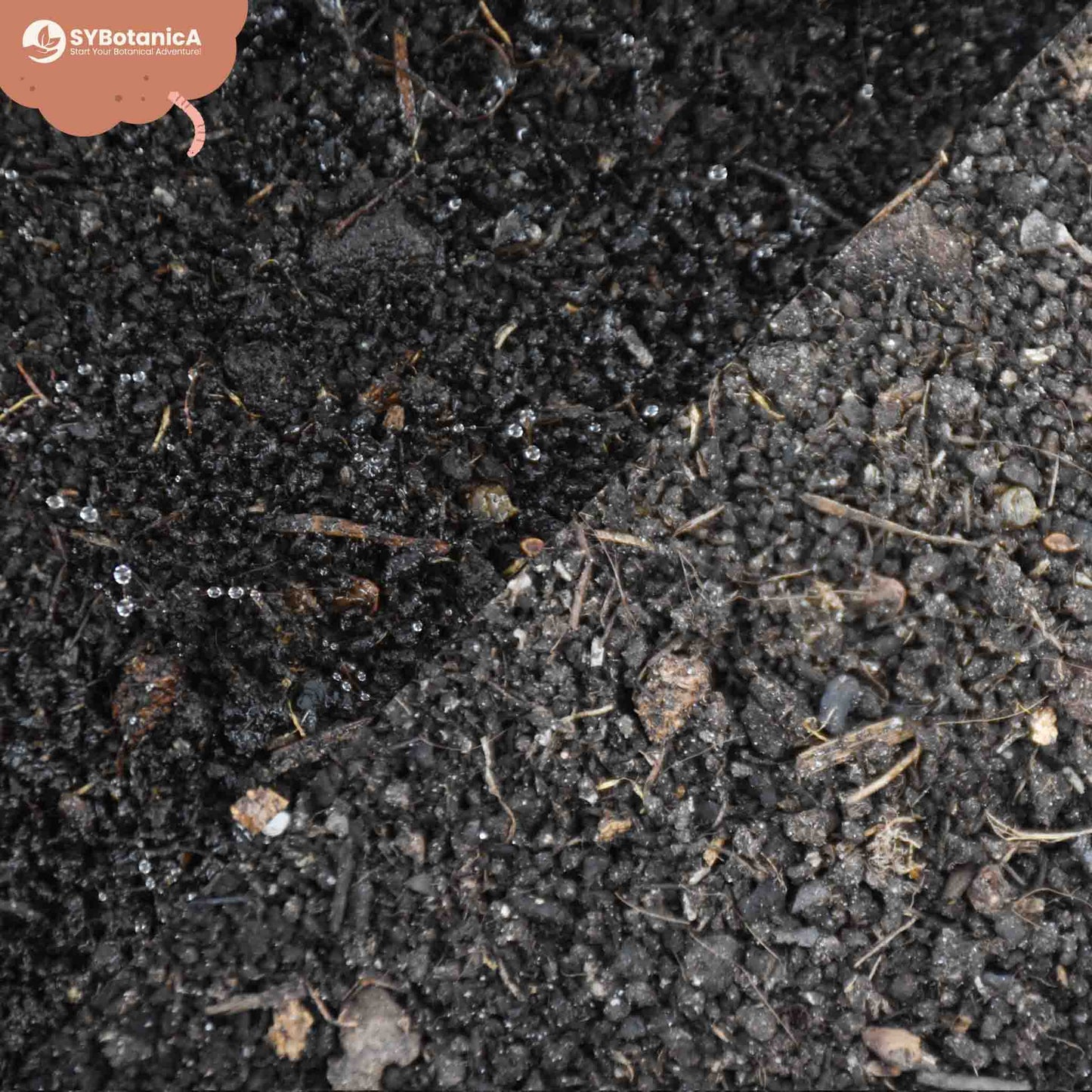 Worm castings 3L - Vermicompost 3L