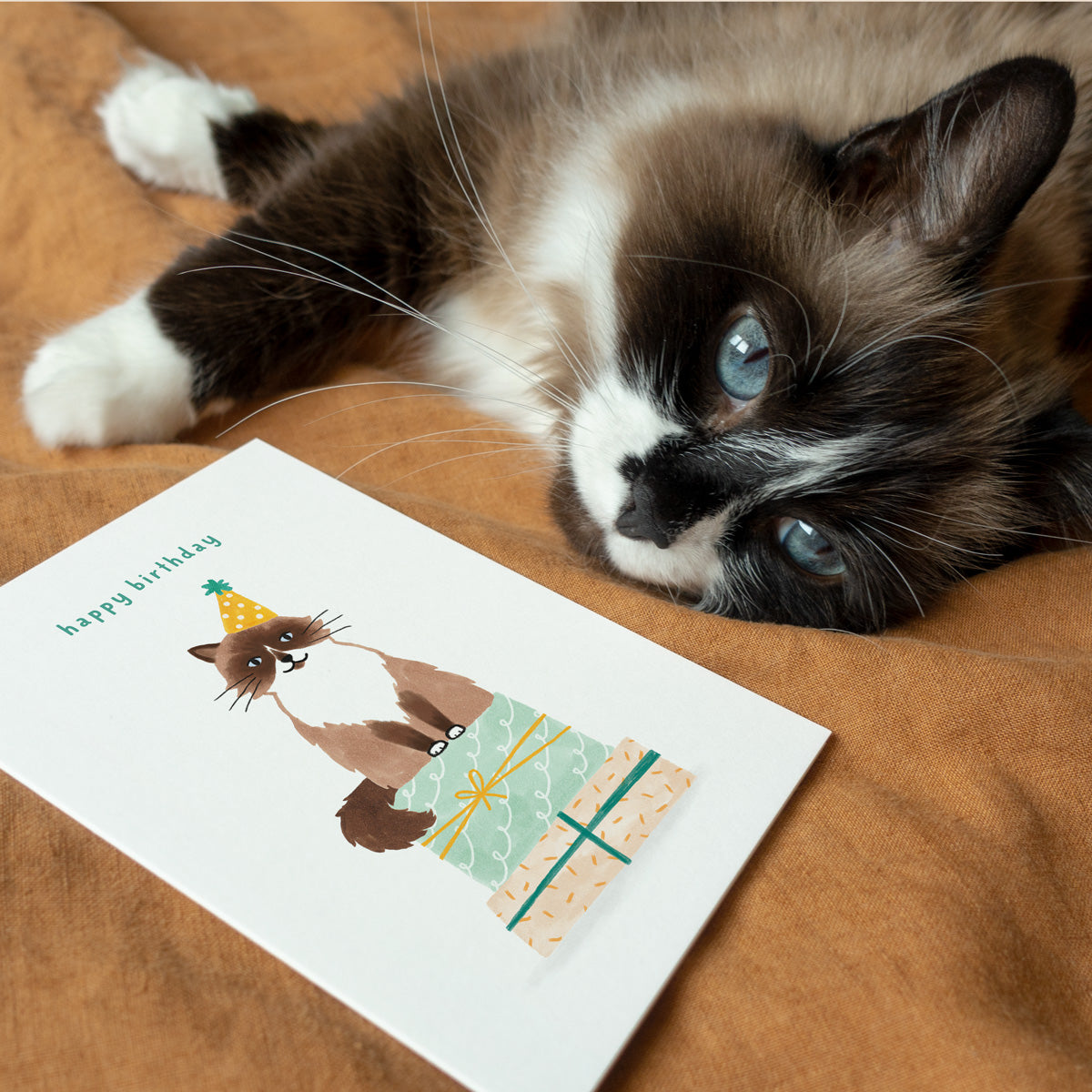 Carte de vœux ''Chat d'anniversaire''