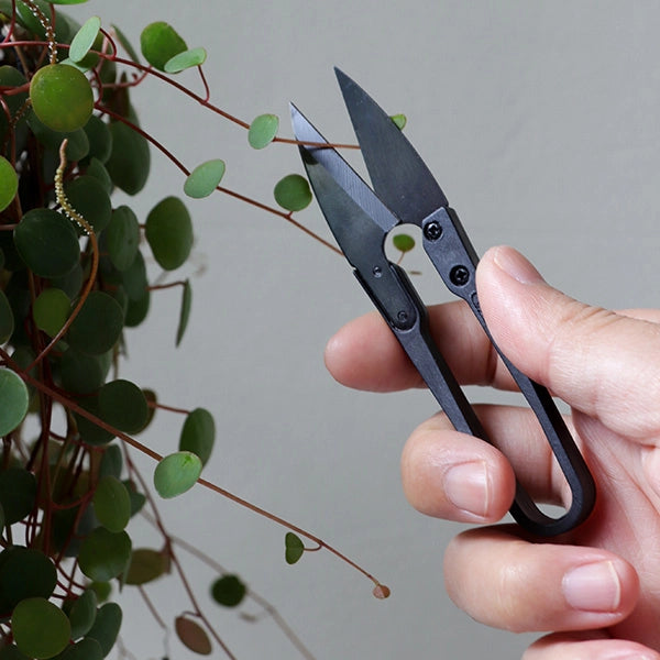 Mini ciseaux pour plantes