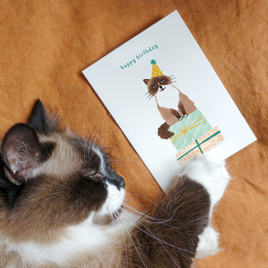 Carte de vœux ''Chat d'anniversaire''