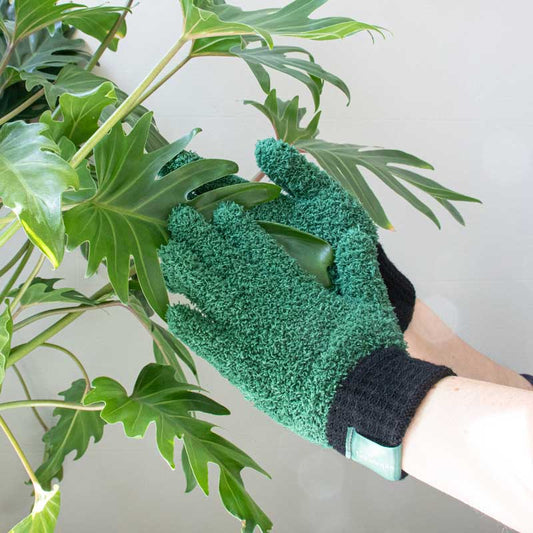 Gants Main Verte – gants dépoussiérants pour plantes