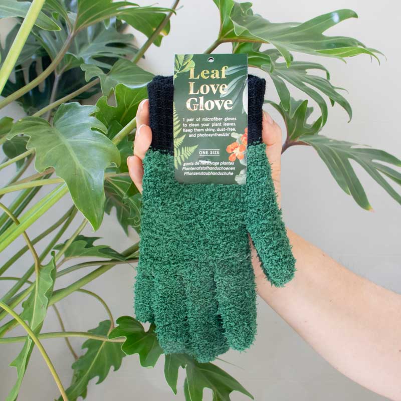 Gants Main Verte – gants dépoussiérants pour plantes
